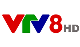 VTV8 HD Channel Logo